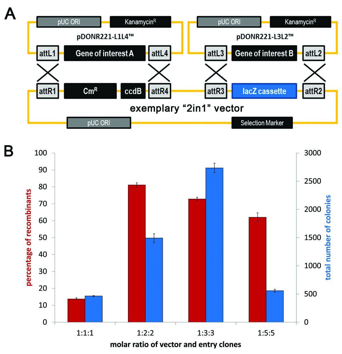 Csm 2in1 Concept 096ab62662